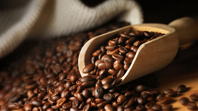 Giá cà phê hôm nay 12/3: Đi ngang trong khoảng 32.700 - 33.400 đồng/kg - Ảnh 2.